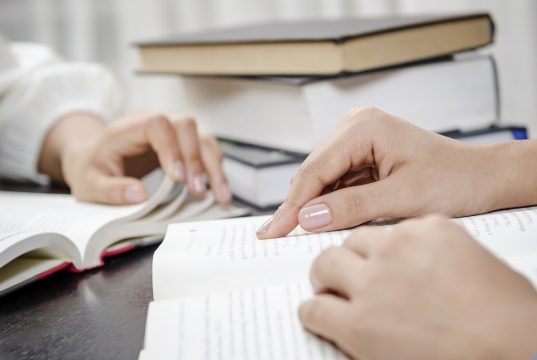 Estabilidade: privilégio ou direito do servidor?